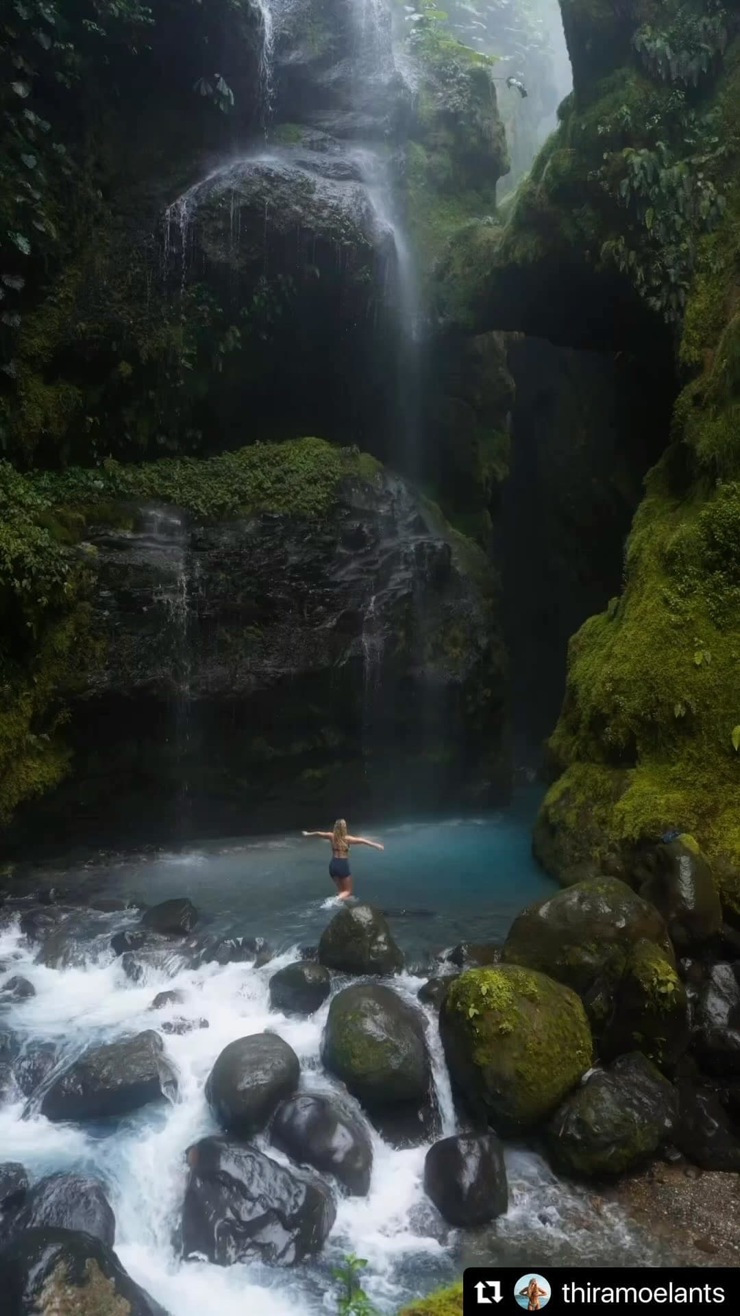 Ecotours Toro Amarillo